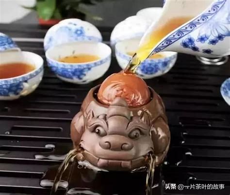 茶寵養法